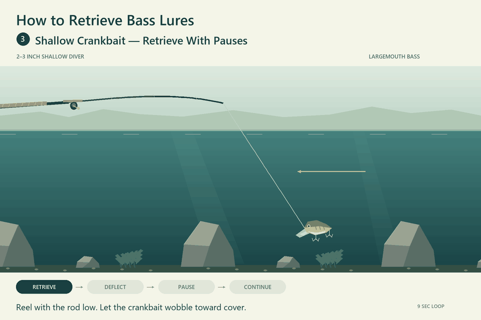 Animated shallow crankbait retrieve with deflection, pauses and continued reeling.